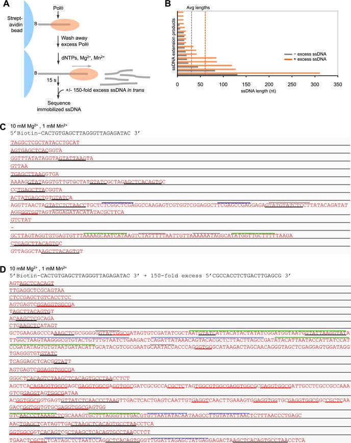 Figure 2—figure supplement 5.