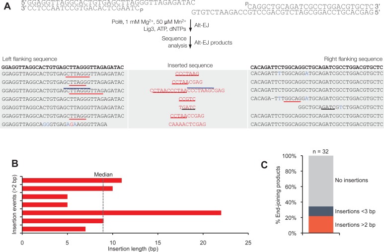 Figure 3—figure supplement 3.