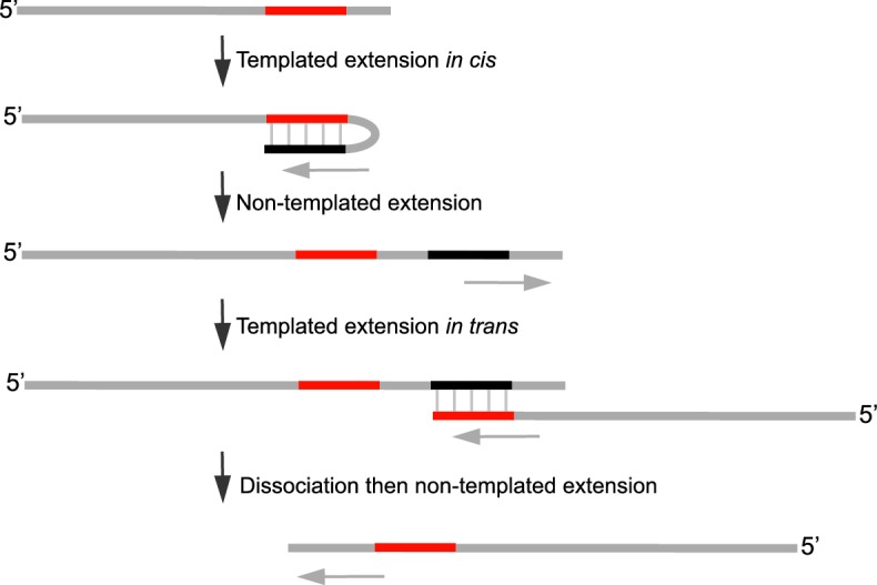 Figure 2—figure supplement 1.