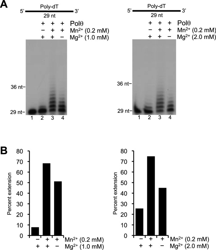 Figure 1—figure supplement 1.