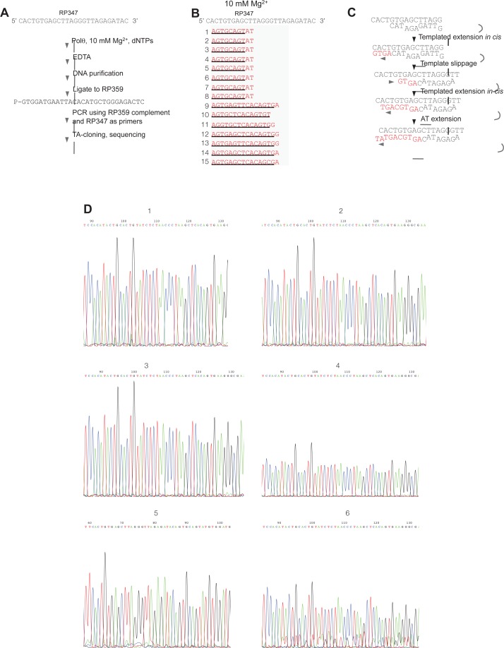 Figure 1—figure supplement 3.