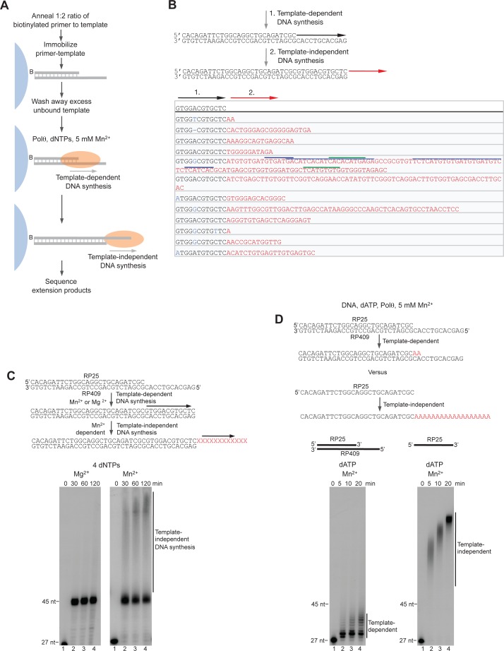 Figure 2—figure supplement 2.