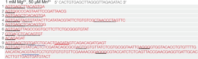 Figure 2—figure supplement 6.