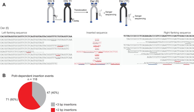 Figure 4—figure supplement 2.