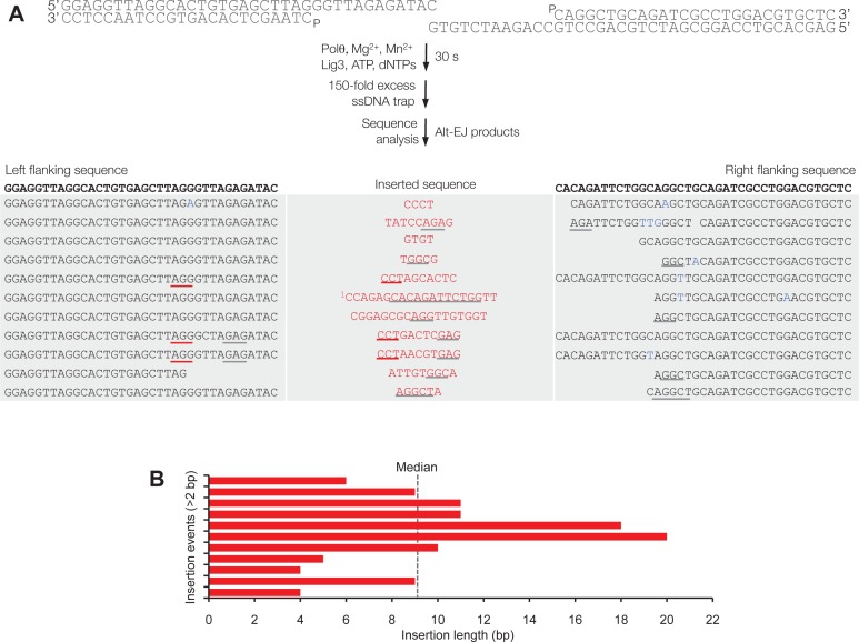 Figure 3—figure supplement 2.