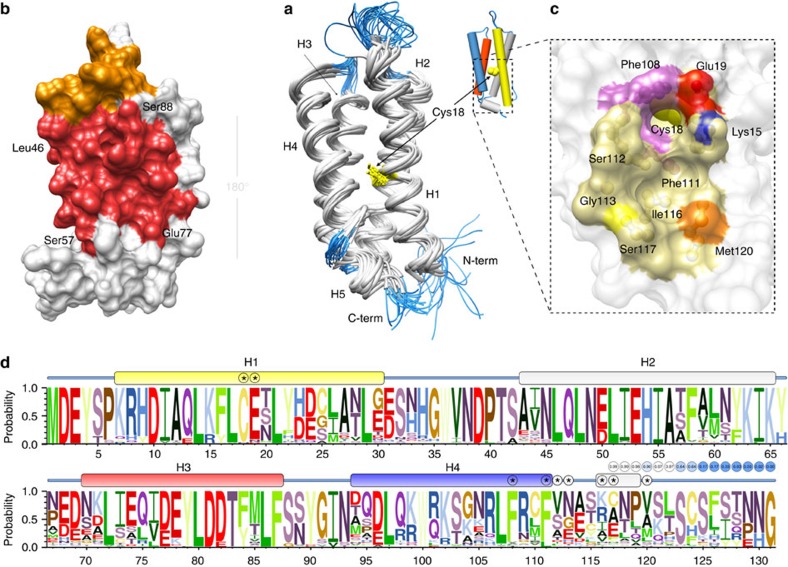 Figure 5