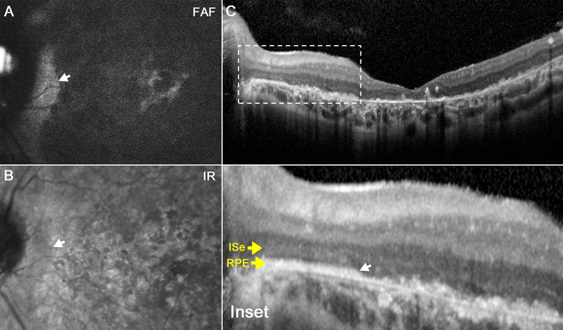 Figure 3.