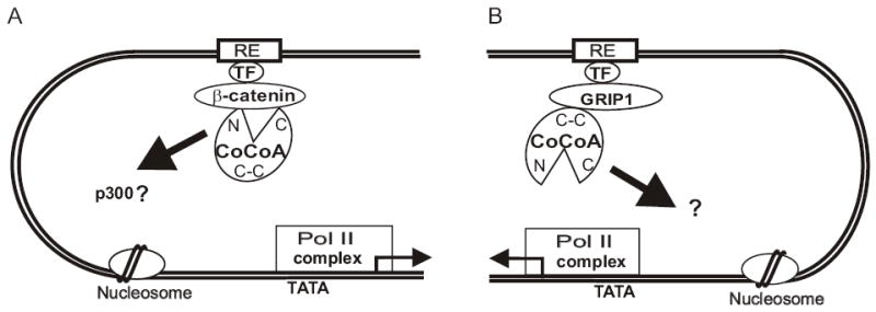 FIG. 7