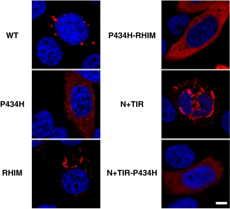 FIGURE 4.