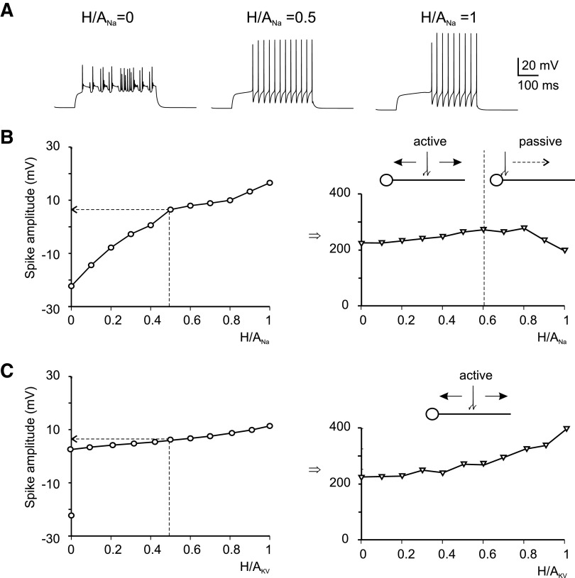 FIG. 7.