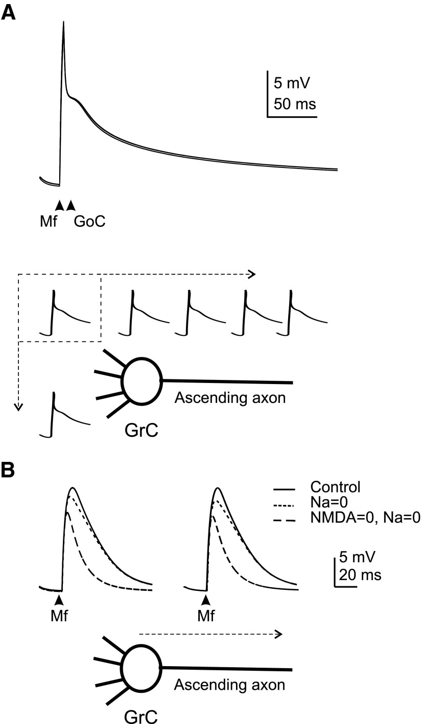 FIG. 9.