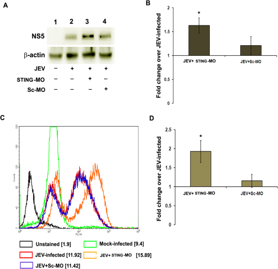 Figure 7