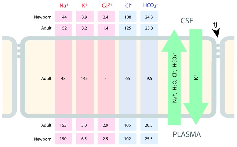 Figure 3. 