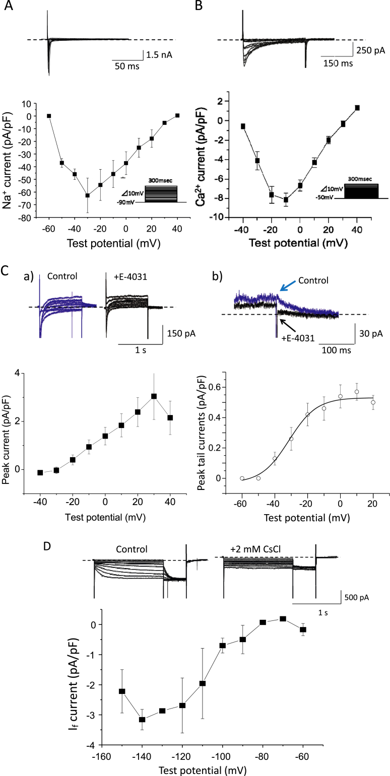 Fig. 2