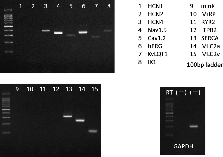 Fig. 3