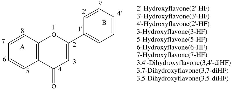 Fig.1