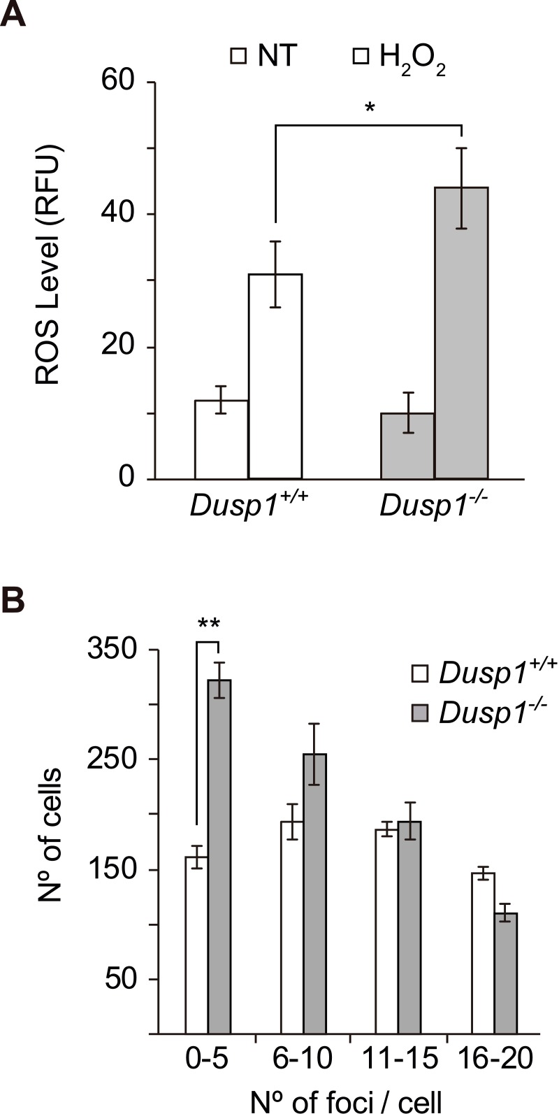 Figure 5—figure supplement 2.