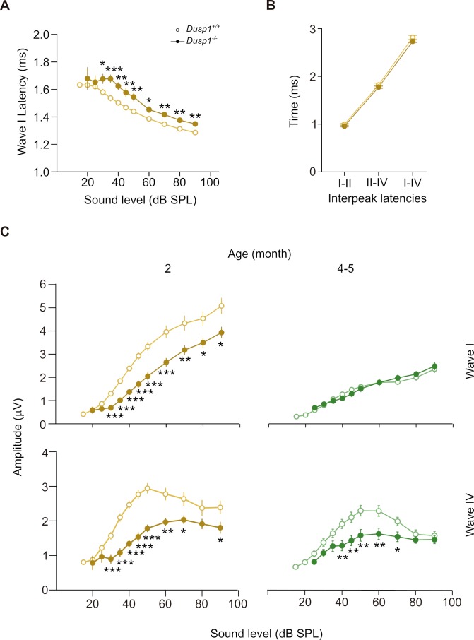 Figure 2—figure supplement 1.