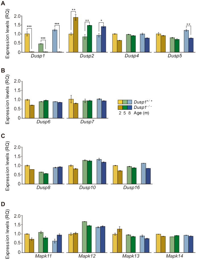 Figure 1—figure supplement 1.