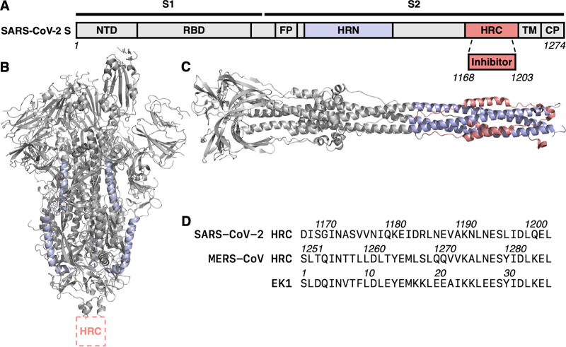 FIG 1