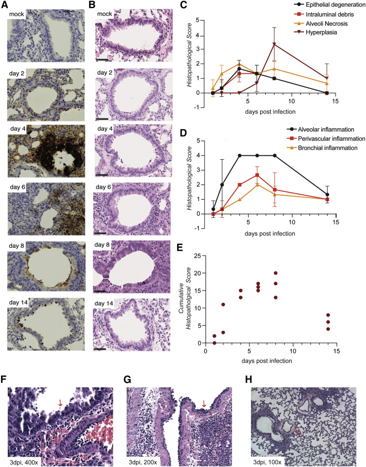 Figure 3