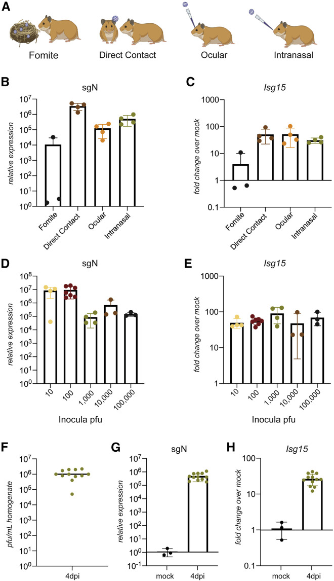 Figure 2