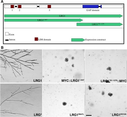 Figure 2.