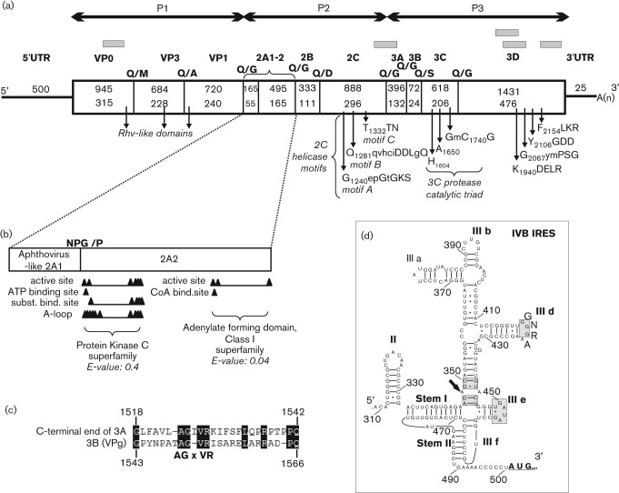 Fig. 1. 