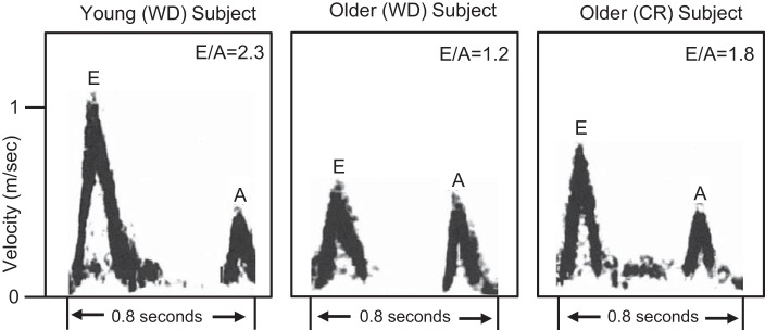 Fig. 12.