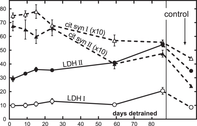 Fig. 18.