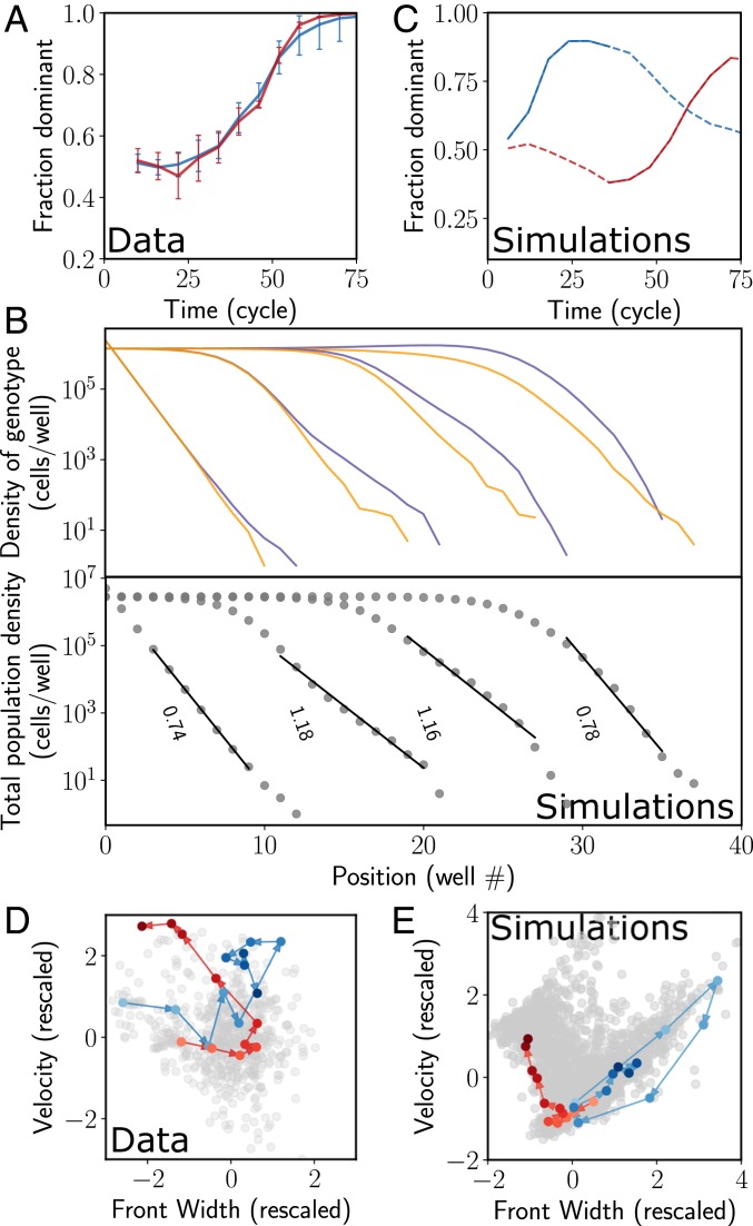 Fig. 4.