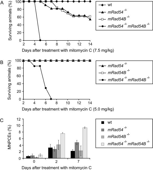 FIG. 7.