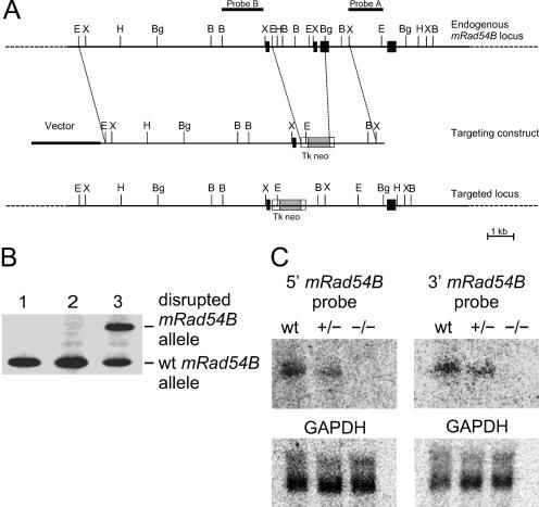 FIG. 5.