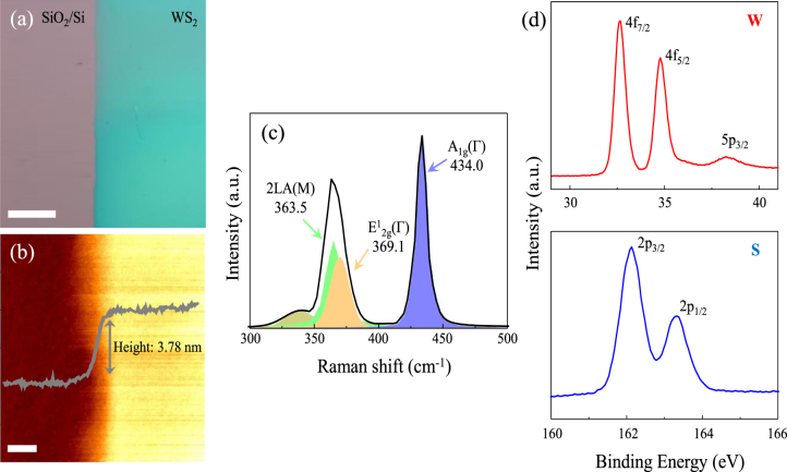 Figure 2