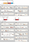 Figure 1—figure supplement 1.