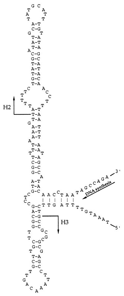 FIG. 5