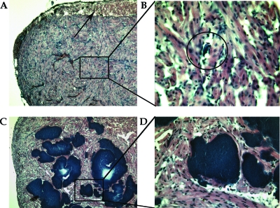 FIG. 7.