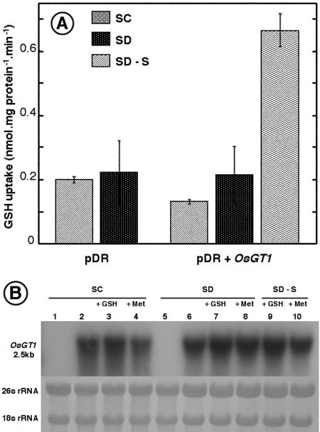 Figure 6.