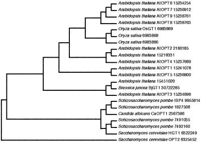 Figure 2.