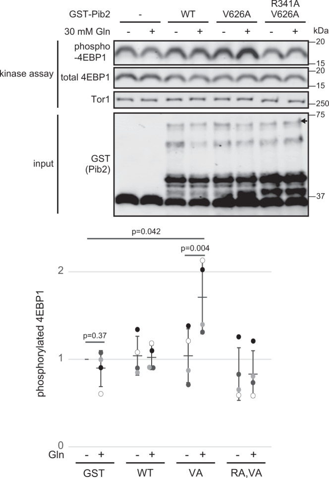 Fig. 4