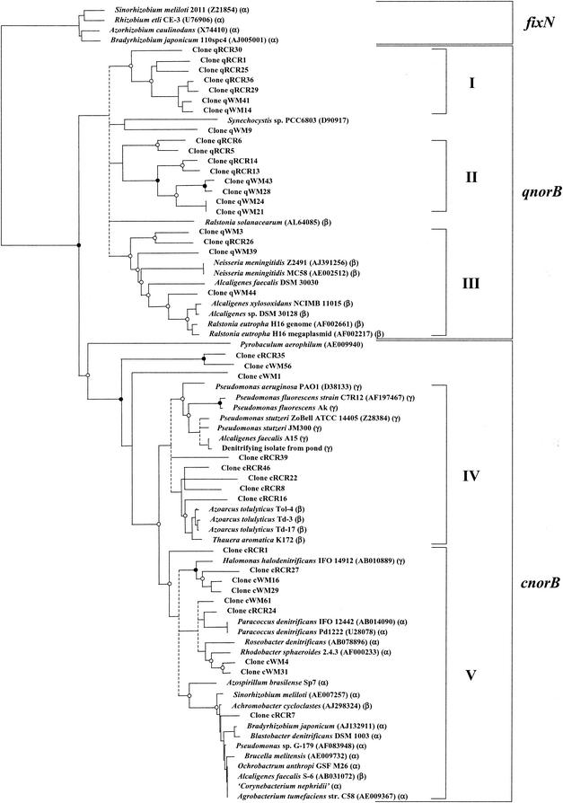 FIG.2.