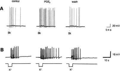 Fig. (1)