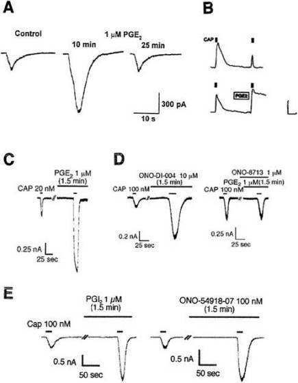 Fig. (4)