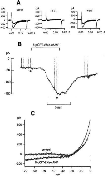 Fig. (12)