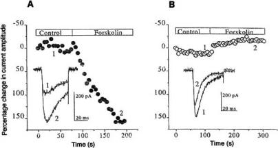 Fig. (9)