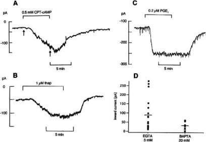 Fig. (11)