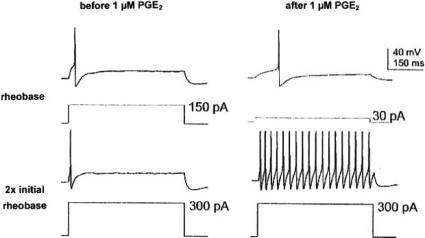 Fig. (2)