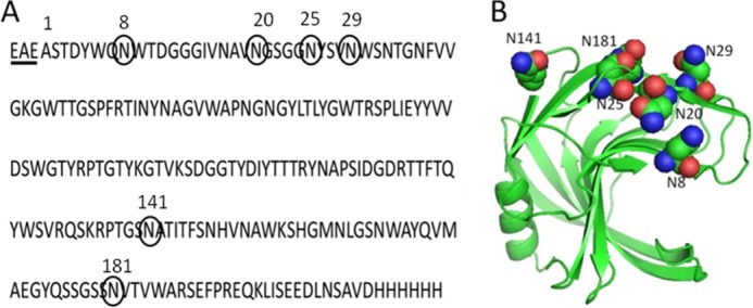 FIGURE 1.