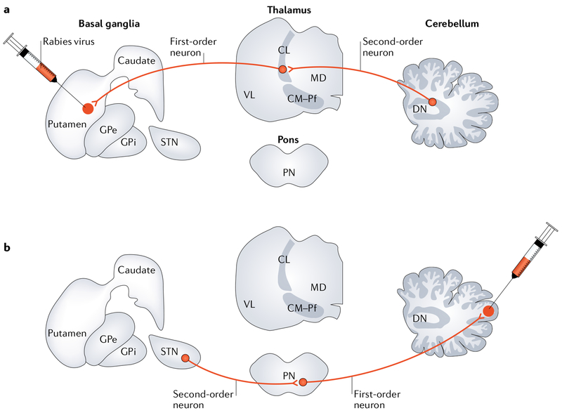 Fig. 2 |