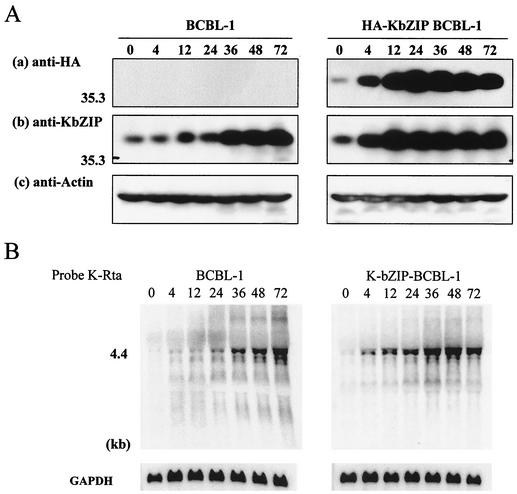 FIG. 5.